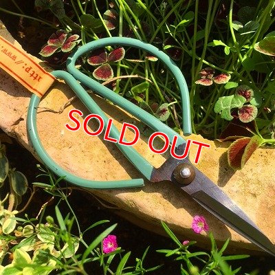 画像6:  新色入荷！アンティークカラーハサミ