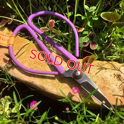 画像7:  新色入荷！アンティークカラーハサミ