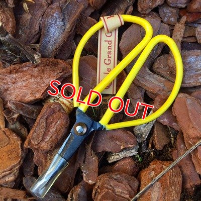 画像3:  新色入荷！アンティークカラーハサミ