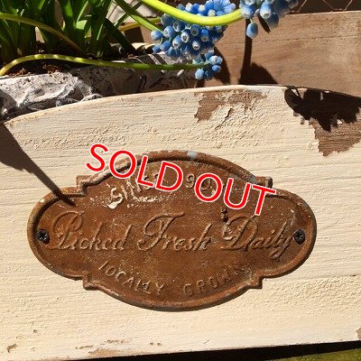 画像7: デイリーセル　ウォールラック