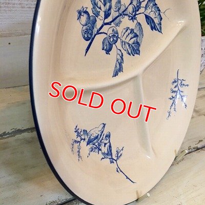 画像6: オワゾー・エ・ローズミュスケ　プレート