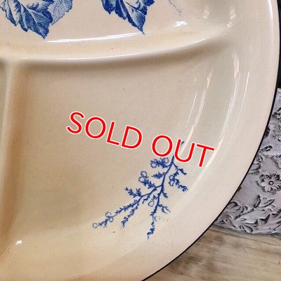 画像5: オワゾー・エ・ローズミュスケ　プレート