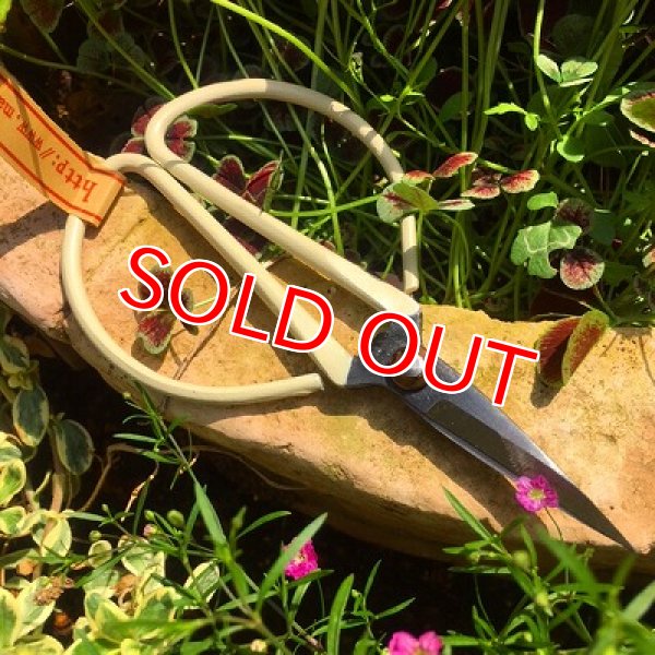 画像4:  新色入荷！アンティークカラーハサミ (4)