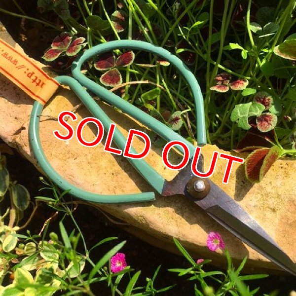 画像6:  新色入荷！アンティークカラーハサミ (6)