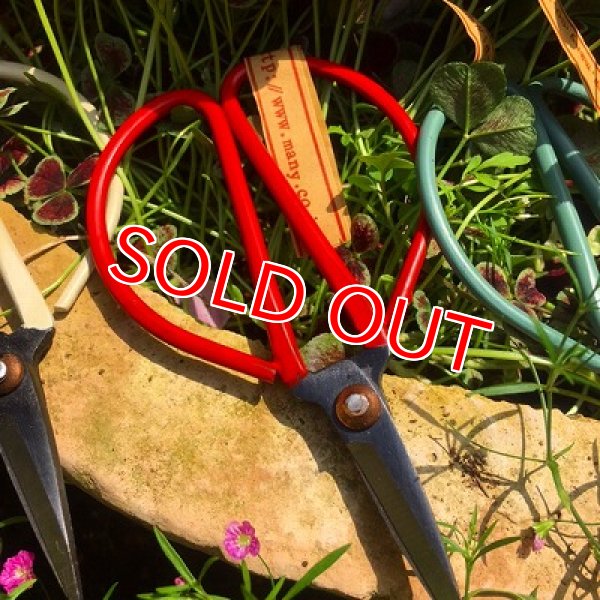 画像5:  新色入荷！アンティークカラーハサミ (5)