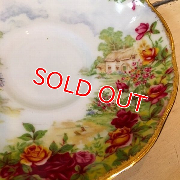 画像8: ロイヤルアルバート　カップ&ソーサー　ローズガーデン (8)