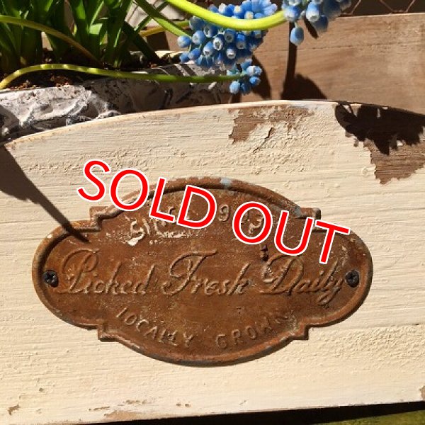 画像7: デイリーセル　ウォールラック (7)