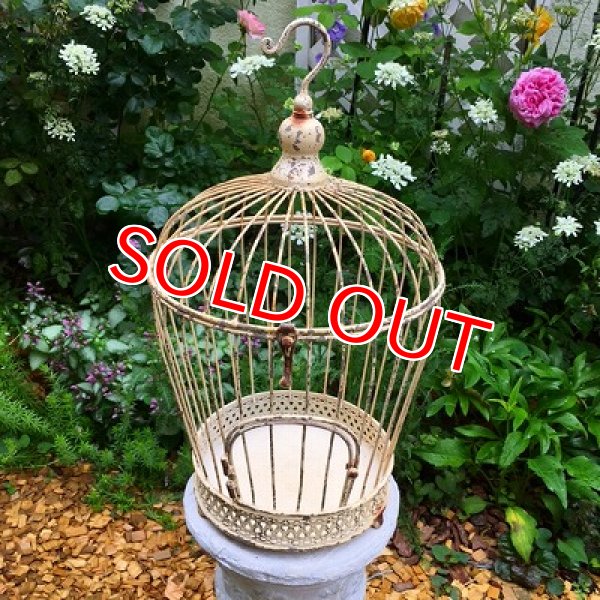 画像5: バードゲージ　フラワースタンド (5)