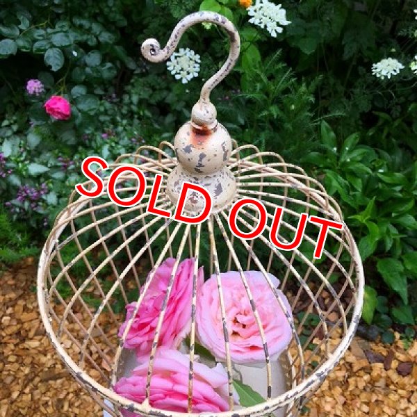 画像4: バードゲージ　フラワースタンド (4)