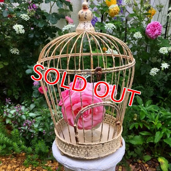 画像3: バードゲージ　フラワースタンド (3)