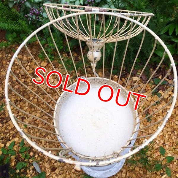 画像6: バードゲージ　フラワースタンド (6)