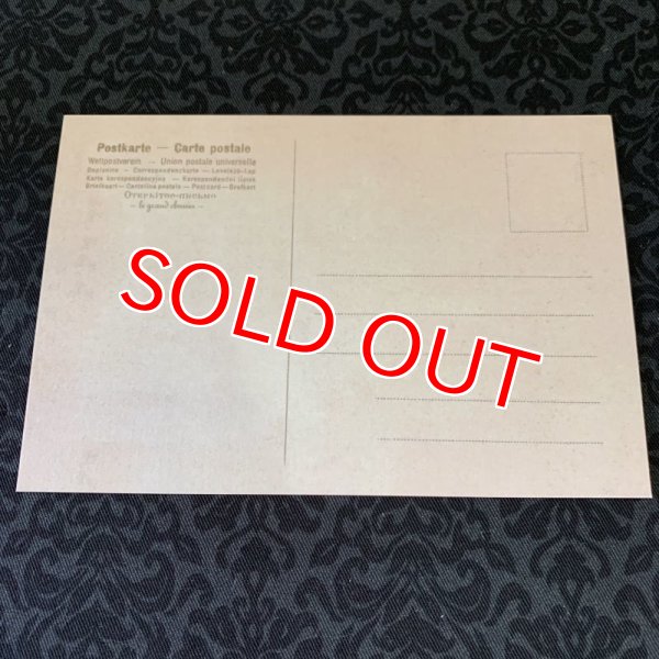 画像8: フラワーポストカード5枚セット　すずらん&勿忘草 (8)